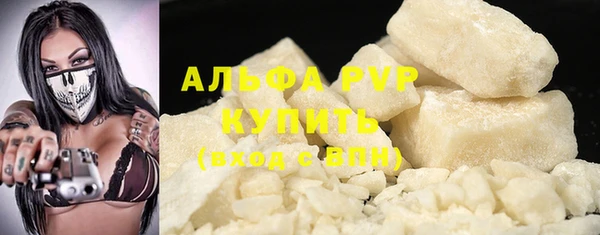 спиды Бердск