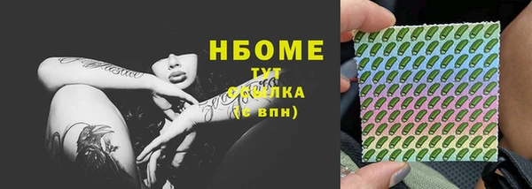 спиды Бердск