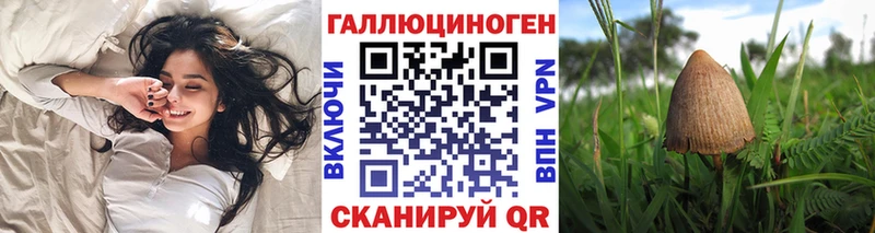Псилоцибиновые грибы Cubensis  Петропавловск-Камчатский 