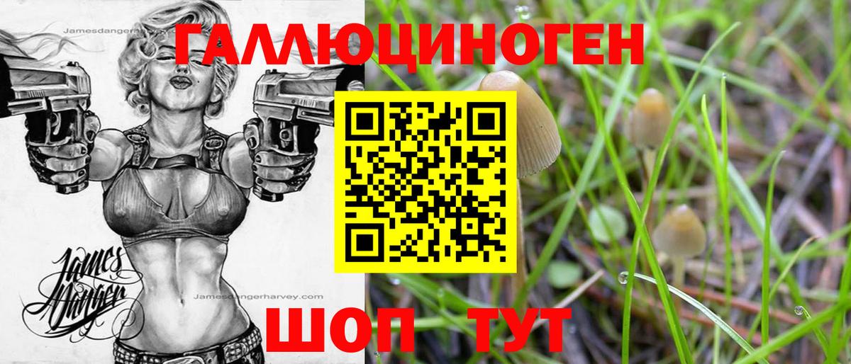 Петропавловск-Камчатский  Псилоцибиновые грибы прущие грибы  Вход с VPN 